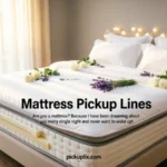 Mattress Pickup Lines