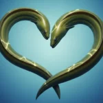 Eel Pickup Lines