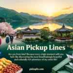 Asian Pickup Lines