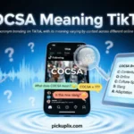 cocsa meaning tiktok