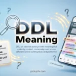 DDL Meaning