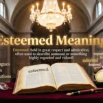 Esteemed Meaning
