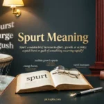 spurt meaning