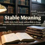 Stable Meaning
