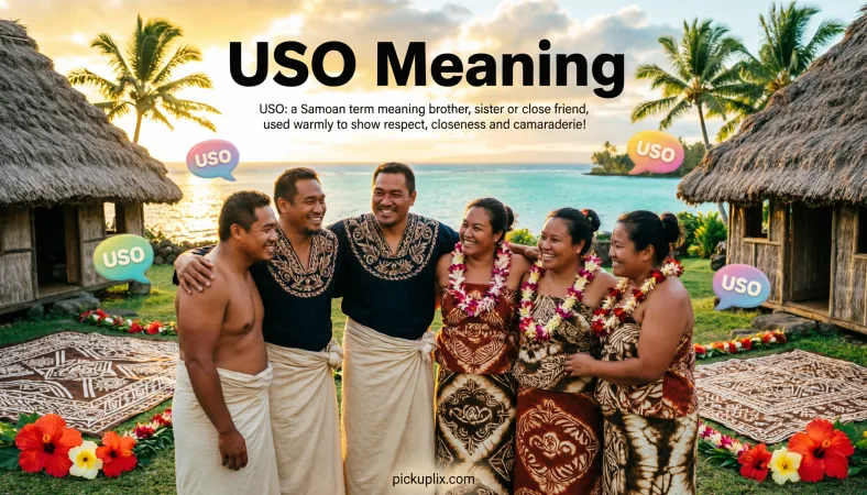 uso meaning