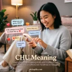 CHU Meaning