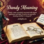 dandy meaning