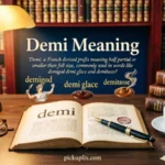 Demi Meaning