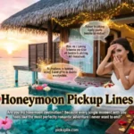 Honeymoon Pickup Lines