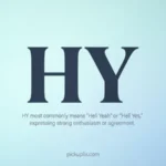 HY Meaning