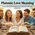 Platonic Love Meaning