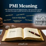PMI Meaning