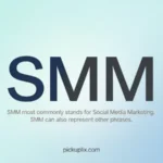 SMM Meaning