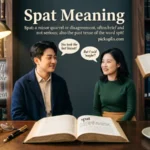 Spat Meaning