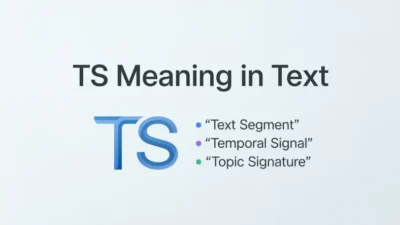 TS Meaning