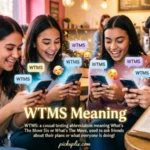 wtms meaning