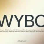 WYBO Meaning