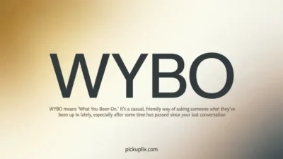 WYBO Meaning